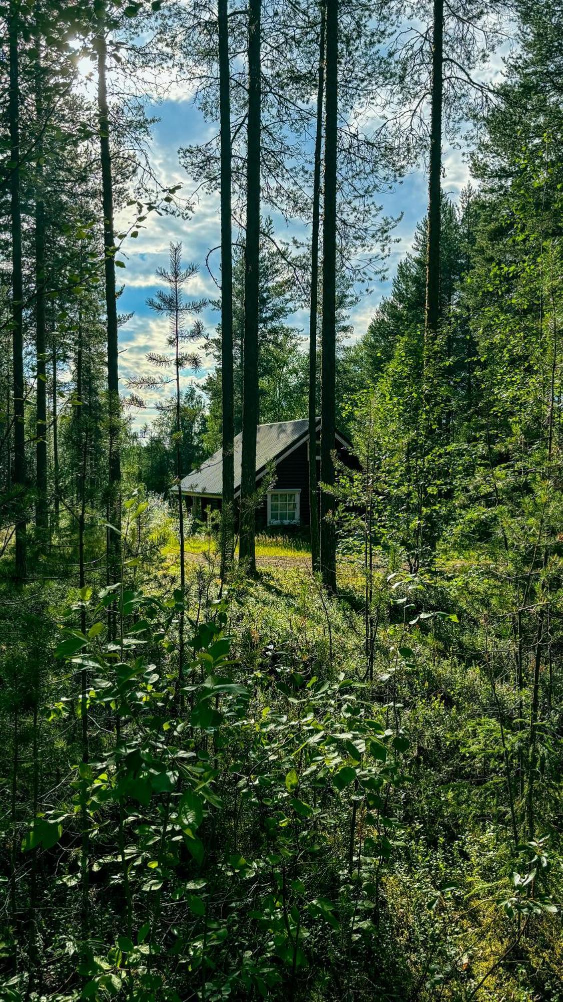 Sky Lodging ~ Sleeping Under The Stars Рованиеми Экстерьер фото