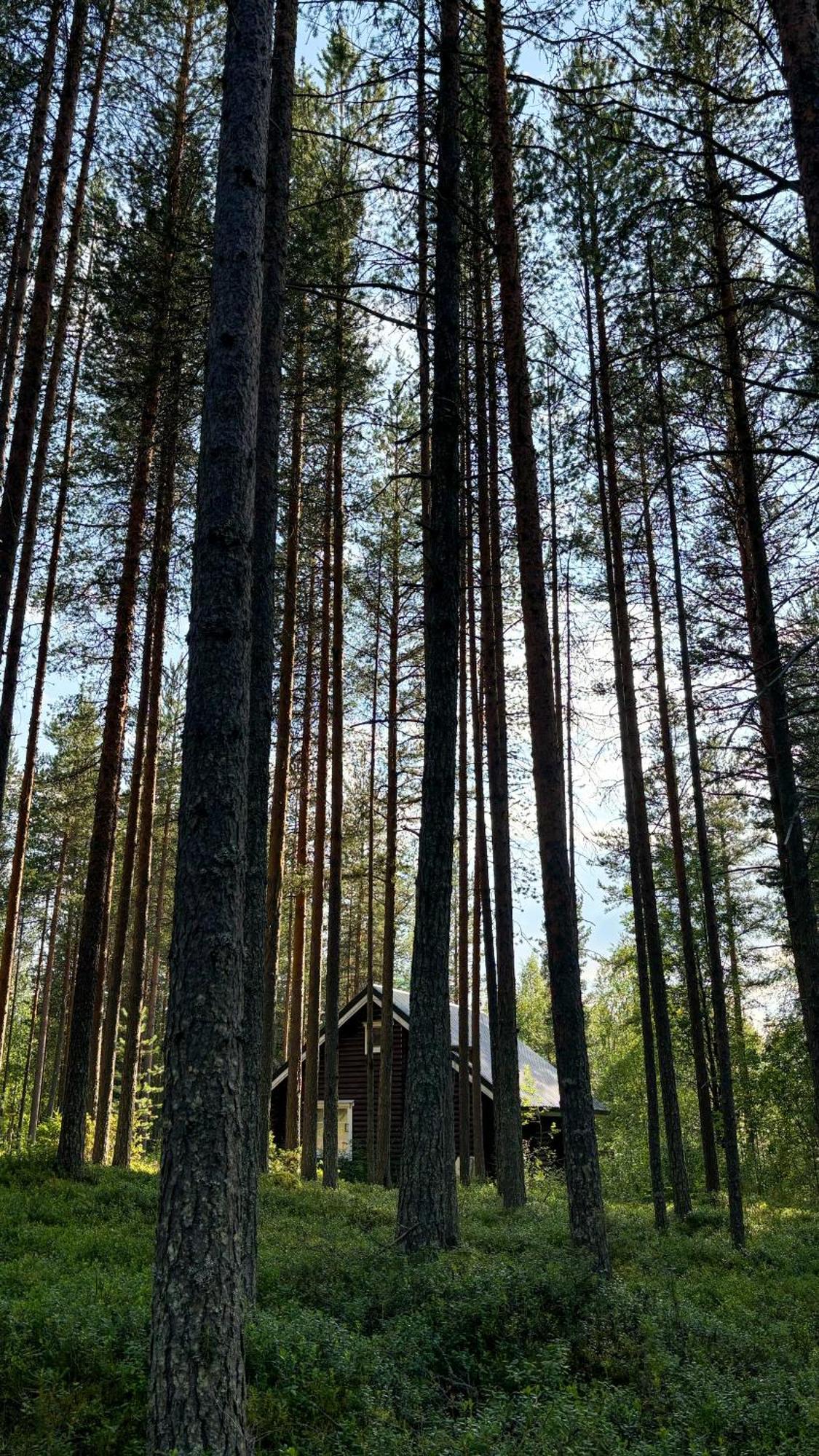 Sky Lodging ~ Sleeping Under The Stars Рованиеми Экстерьер фото