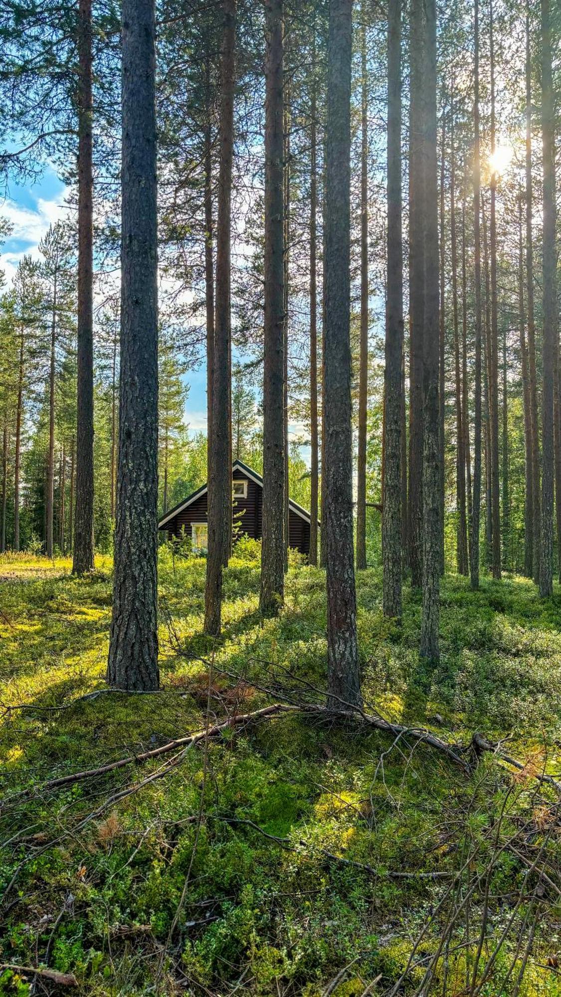 Sky Lodging ~ Sleeping Under The Stars Рованиеми Экстерьер фото